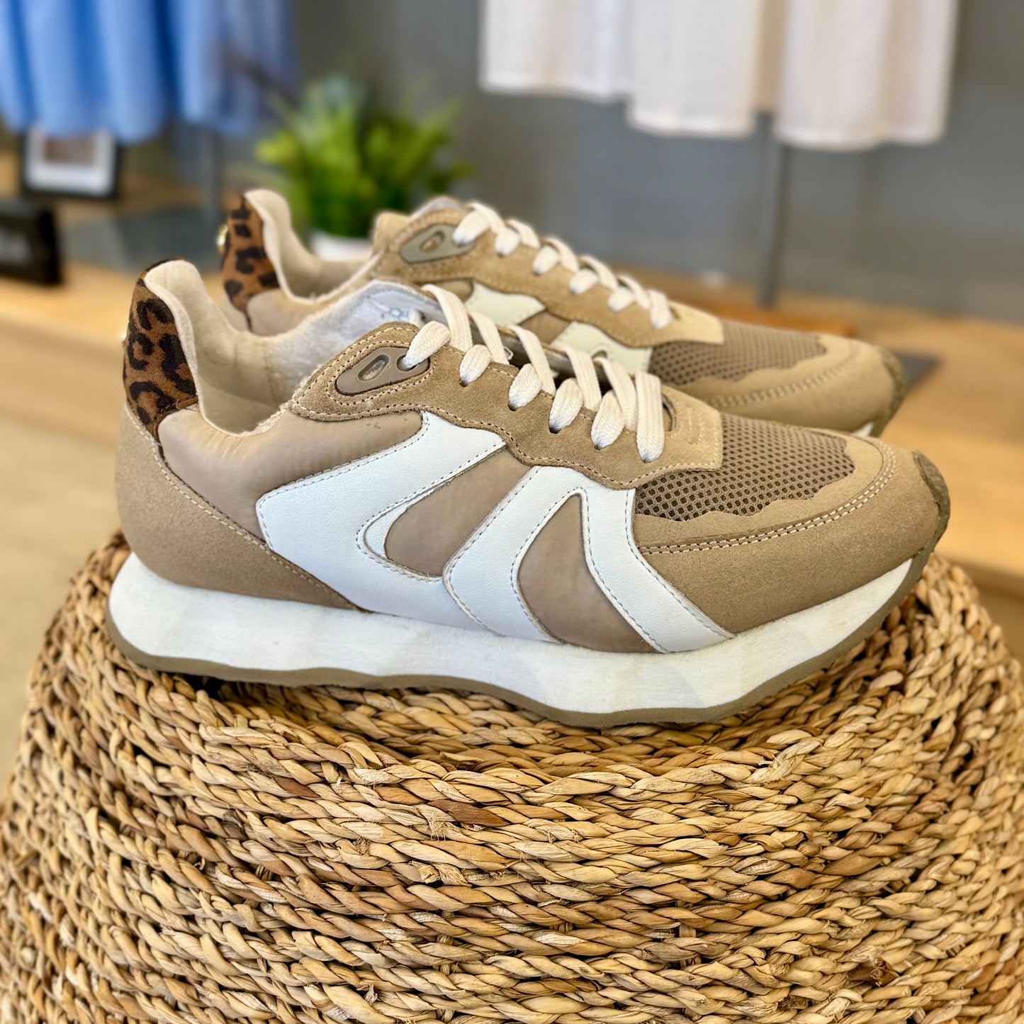 Ravel Innes Trainer