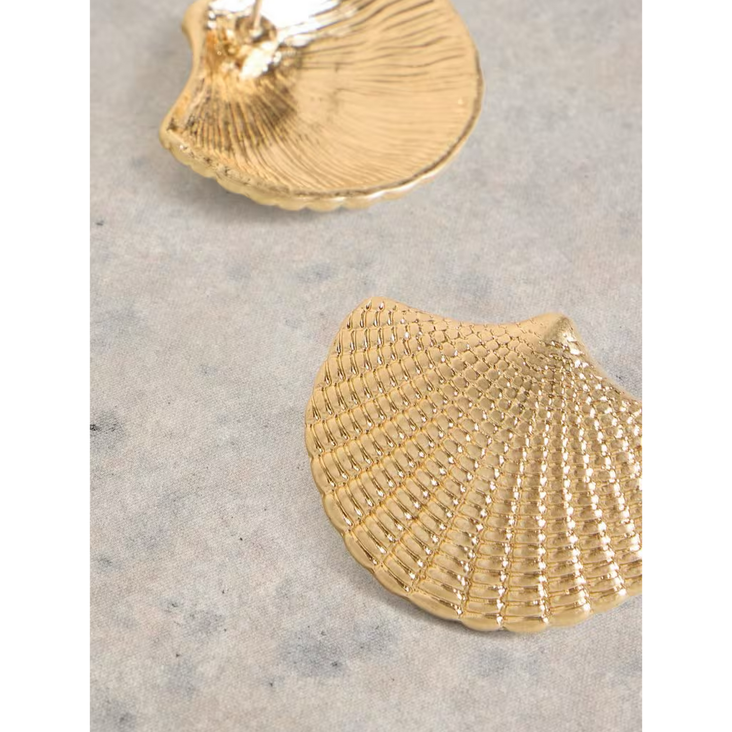 White Stuff Shell Stud Earrings