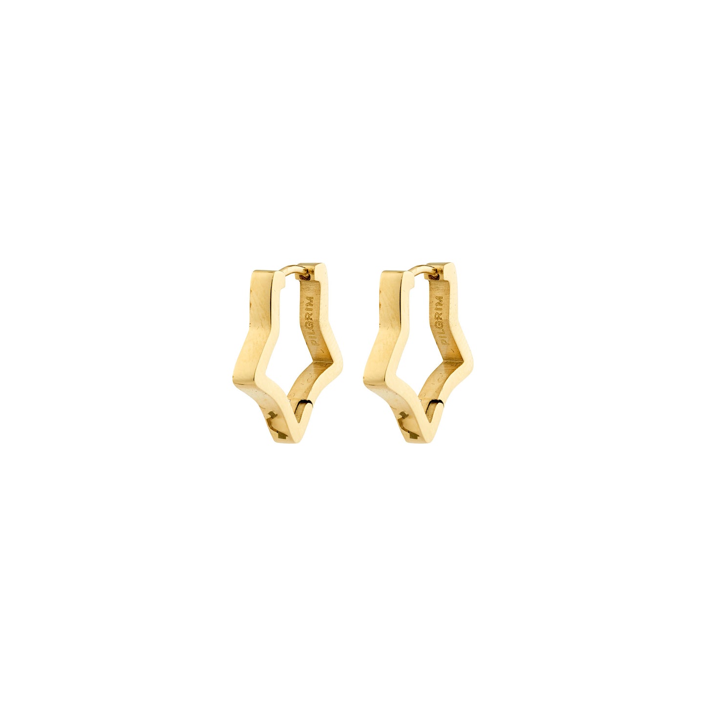 Pilgrim Solari Earrings