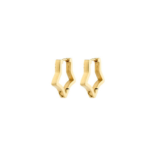 Pilgrim Solari Earrings