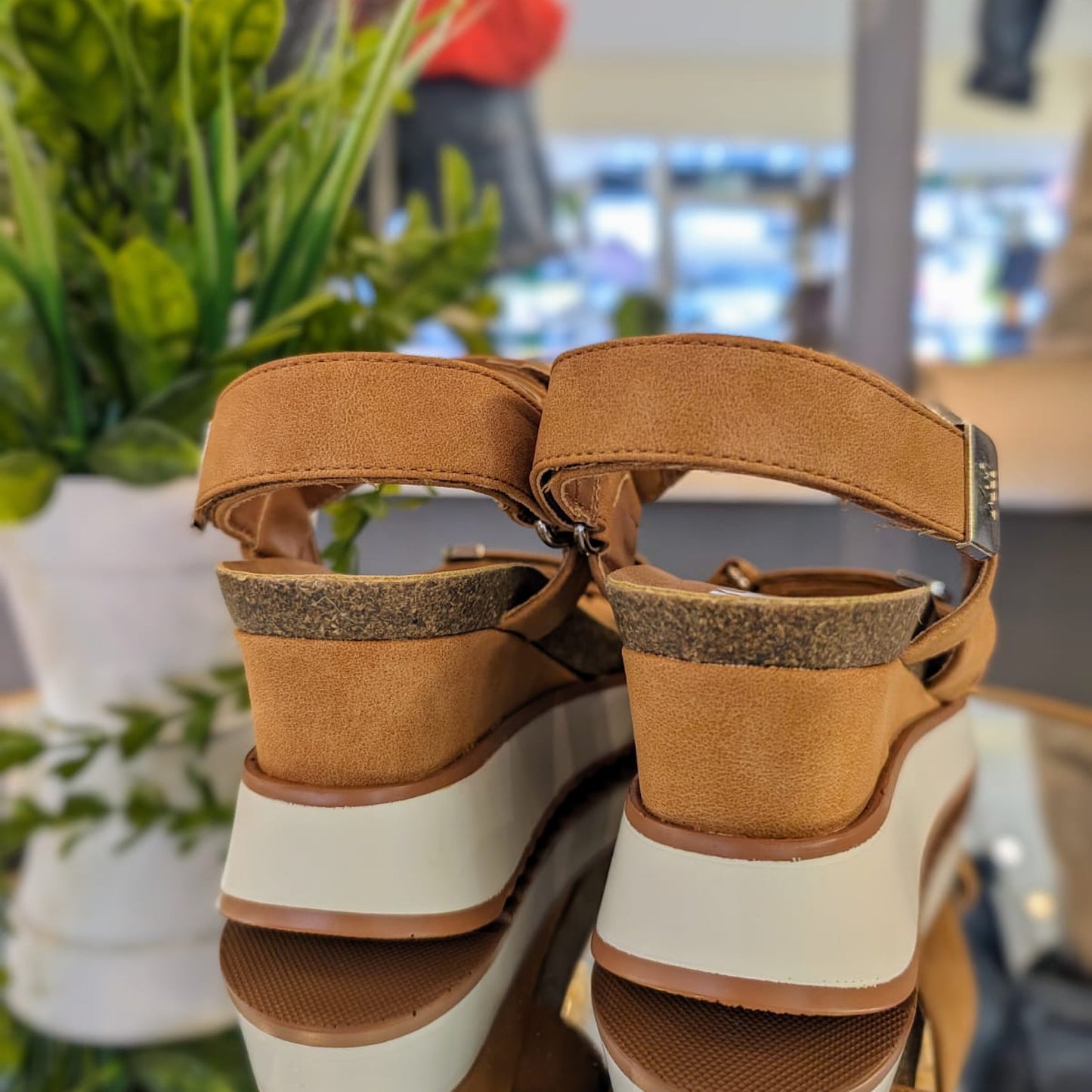 XTI Camel Wedge