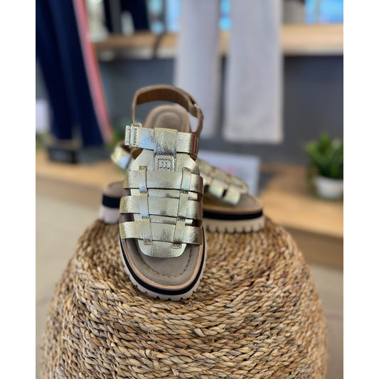 Maruti Logan Sandal