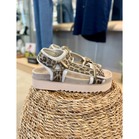 Maruti Beau Leopard Sandal